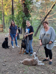 Formation à des maitres détenteurs de chiens mordeurs  